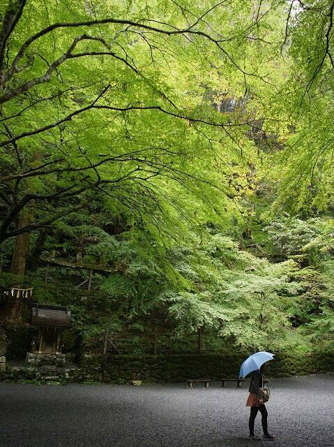 雨の日の貴船神社にて撮影