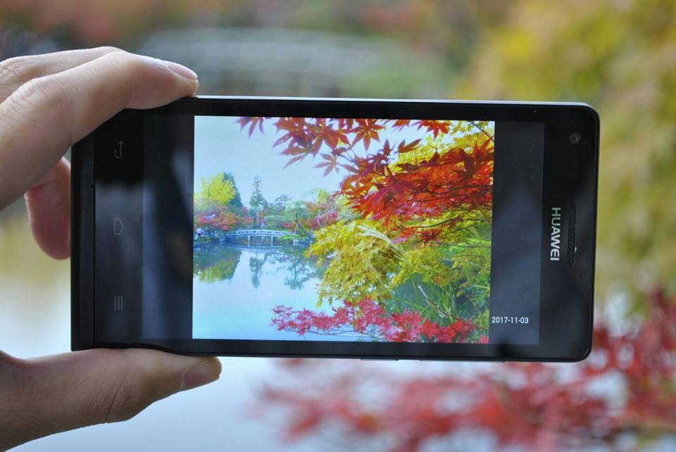 スマホの紅葉写真
