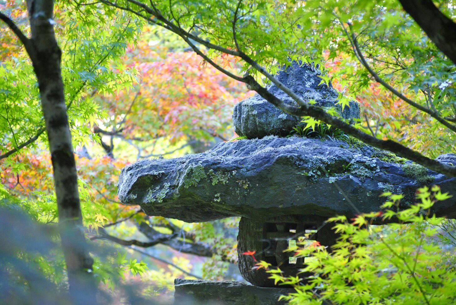 永観堂と南禅寺の紅葉の写真