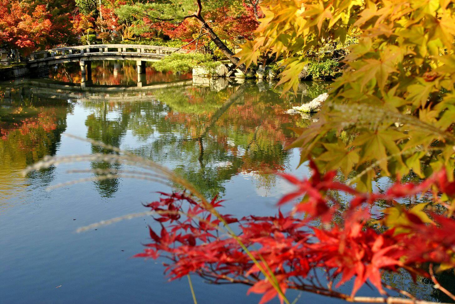永観堂と南禅寺の紅葉の写真