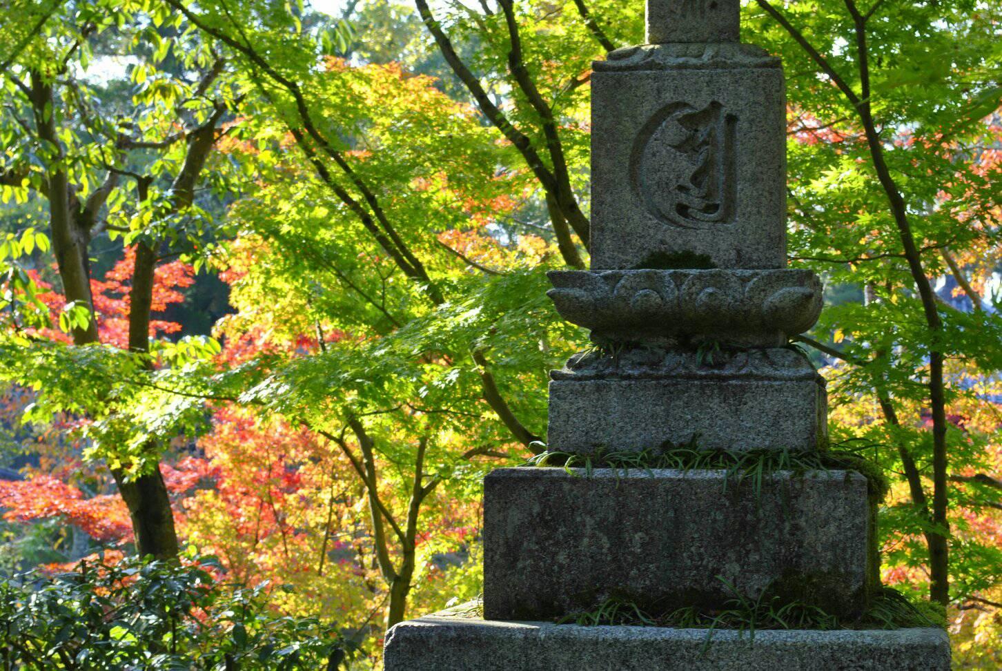 禅林寺の紅葉の写真