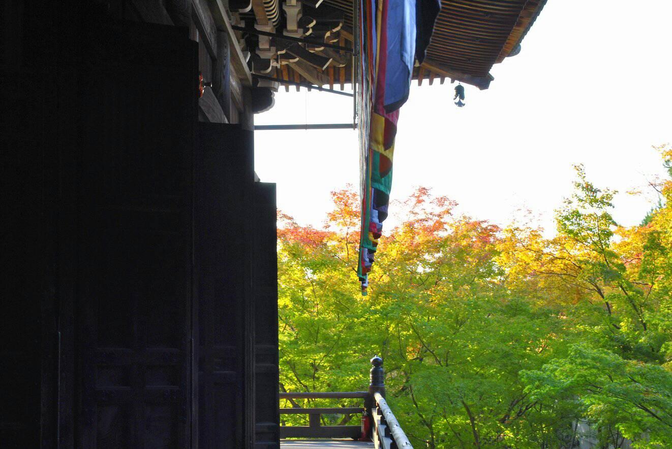 永観堂の紅葉の写真 お寺