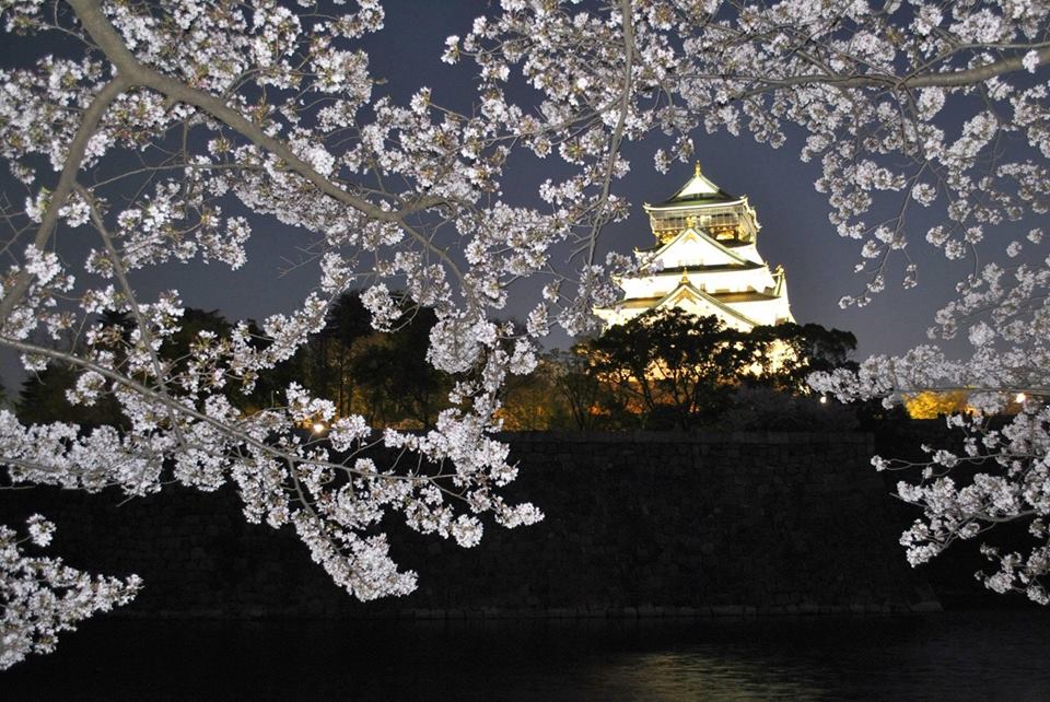 夜桜の大阪城の写真