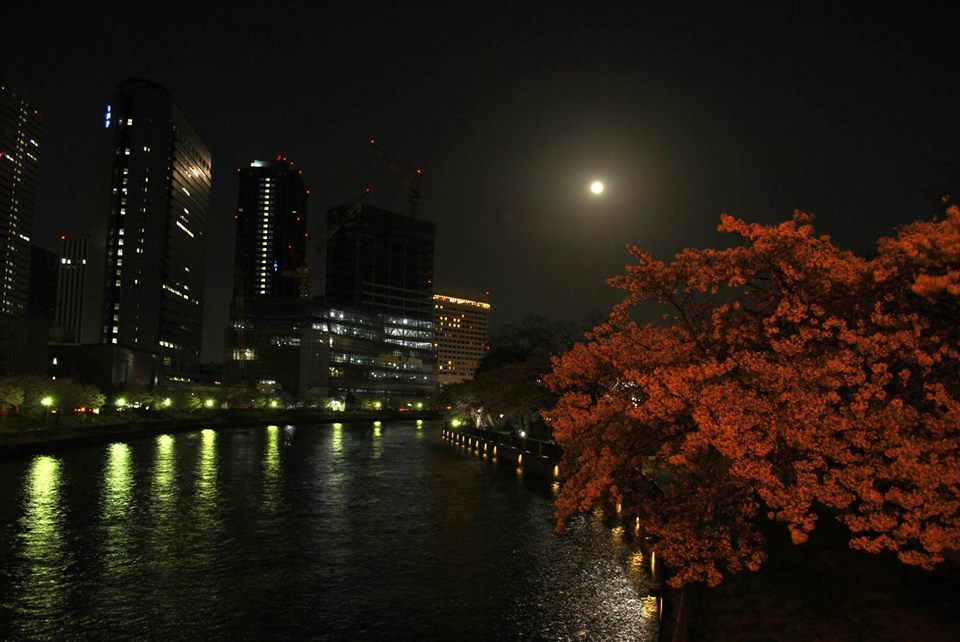 ビルと満月と桜の写真