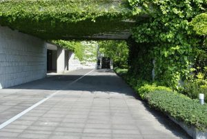 兵庫県立美術館 安藤忠雄