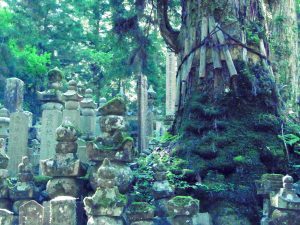 奥の院の参道